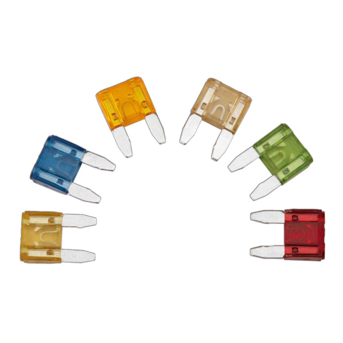 Assorted colored automotive fuses arranged in a circle.